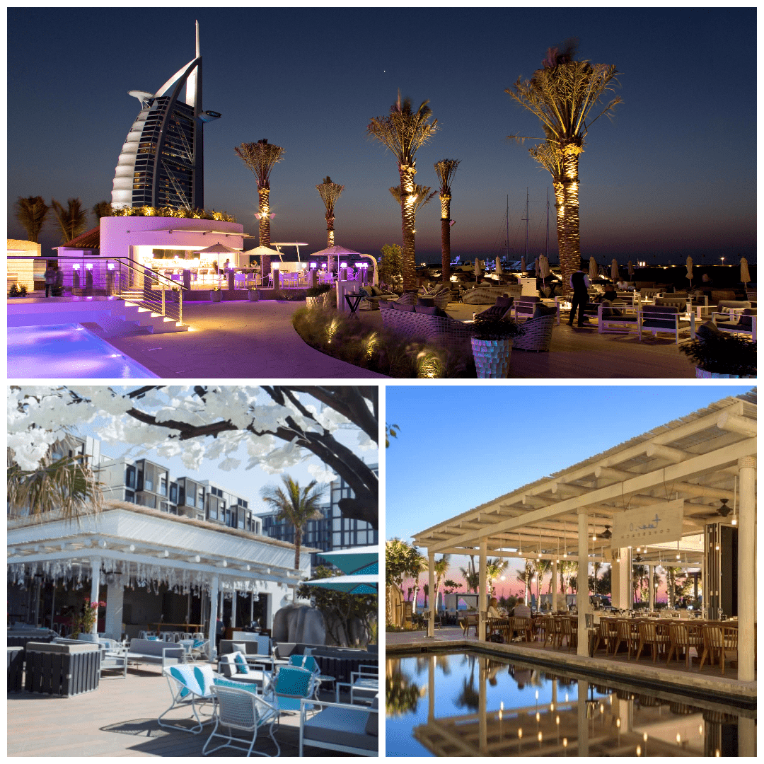 Cove Beach Dubai ; Restaurant Address, Menu, Reviews